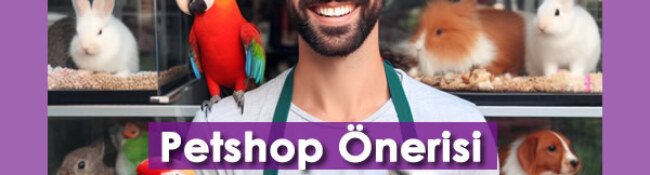 En Yakın Petshop Önerisi: Türkiye’deki En İyi Petshoplar Nerede?