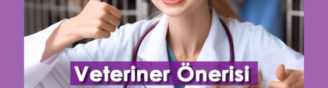 En Yakın Veteriner Önerisi: Türkiye’deki En İyi Veteriner Klinikleri